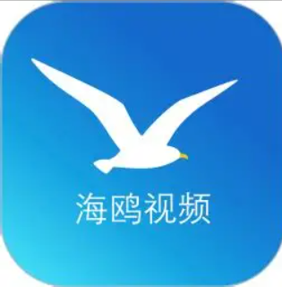 海鸥加速器 Logo
